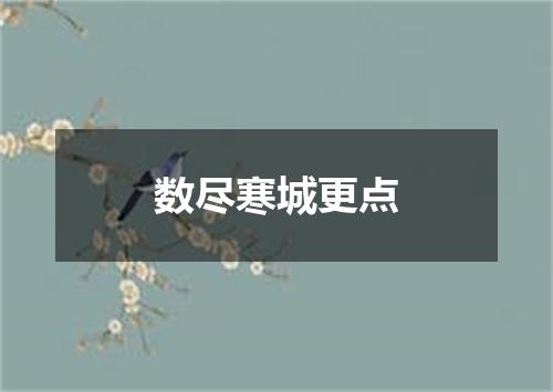 数尽寒城更点