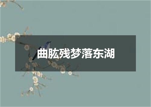 曲肱残梦落东湖