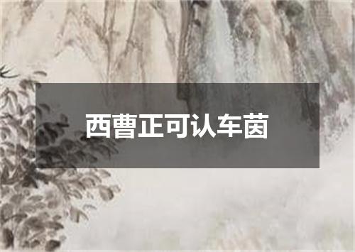 西曹正可认车茵