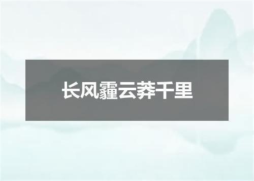 长风霾云莽千里