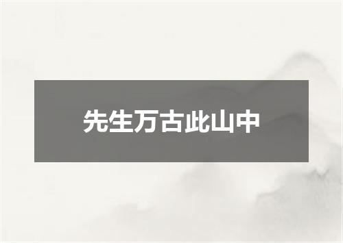 先生万古此山中