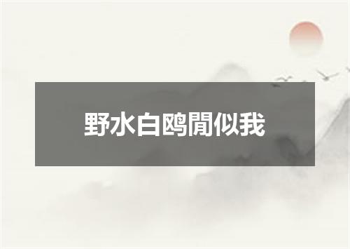 野水白鸥閒似我