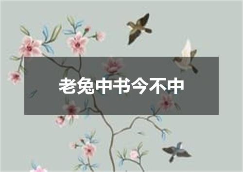 老兔中书今不中