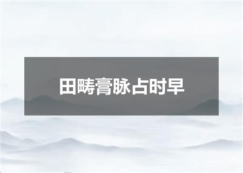 田畴膏脉占时早