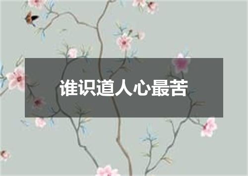 谁识道人心最苦