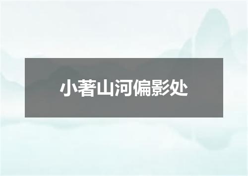 小著山河偏影处