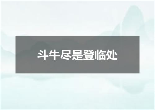 斗牛尽是登临处