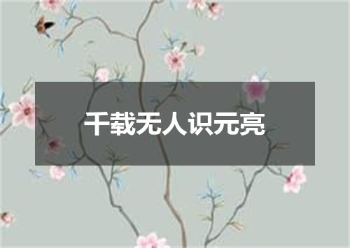 千载无人识元亮