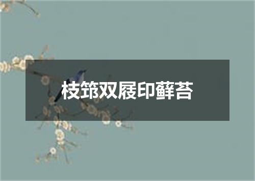 枝筇双屐印藓苔