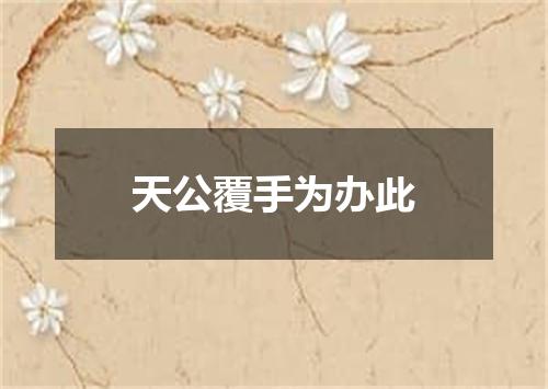 天公覆手为办此
