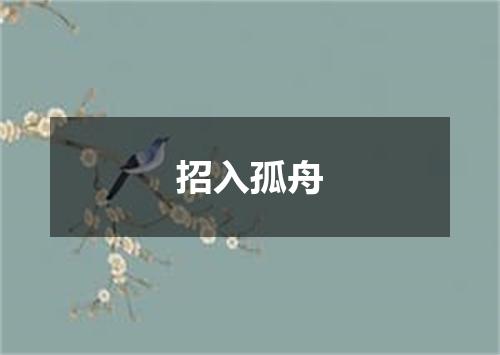 招入孤舟