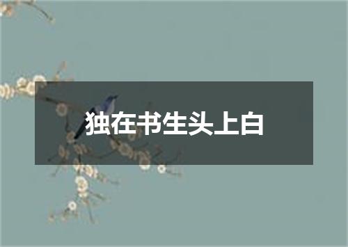 独在书生头上白