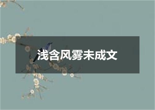 浅含风雾未成文