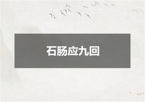 石肠应九回