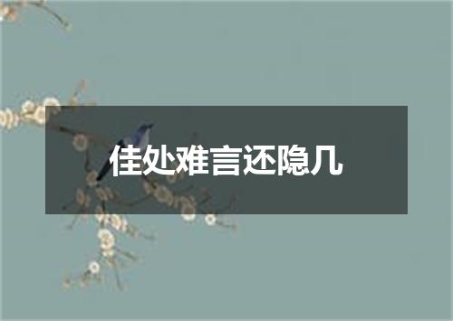 佳处难言还隐几