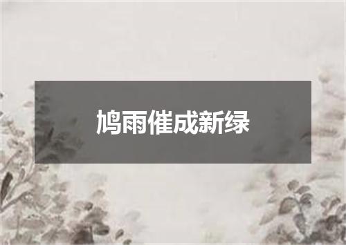 鸠雨催成新绿