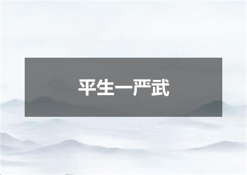 平生一严武