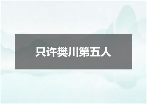 只许樊川第五人
