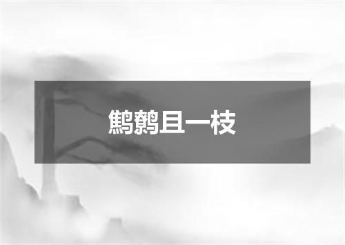 鹪鹩且一枝