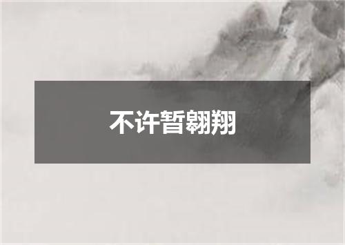 不许暂翱翔