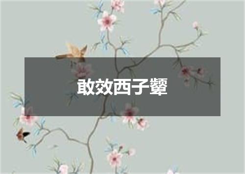 敢效西子颦