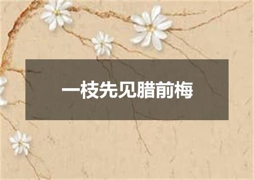 一枝先见腊前梅