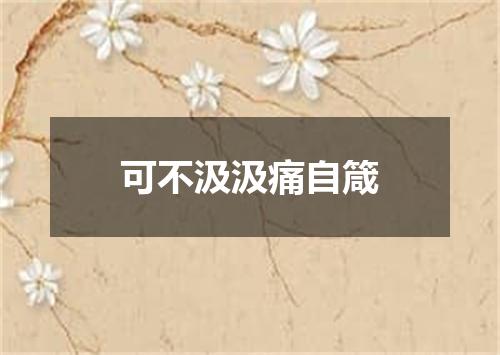 可不汲汲痛自箴