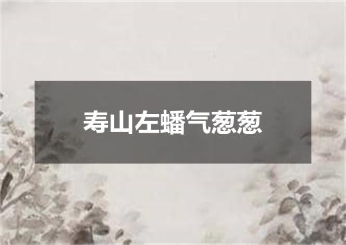 寿山左蟠气葱葱