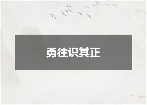 勇往识其正
