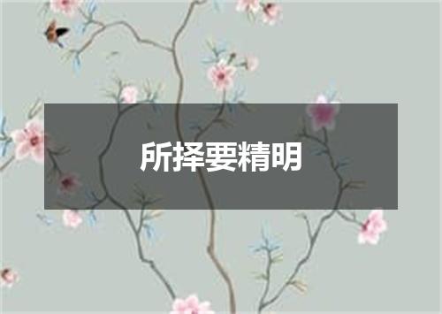 所择要精明