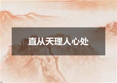 直从天理人心处