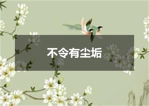 不令有尘垢