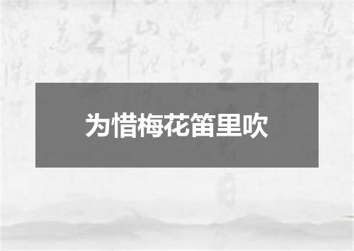 为惜梅花笛里吹