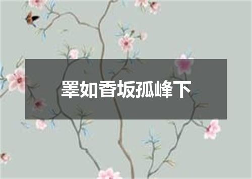 睪如香坂孤峰下