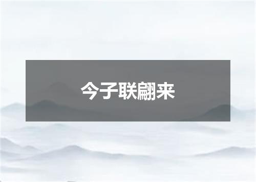 今子联翩来