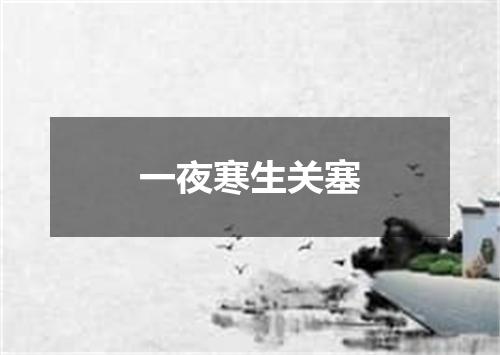 一夜寒生关塞