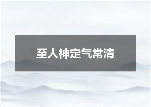 至人神定气常清