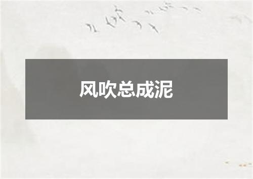风吹总成泥