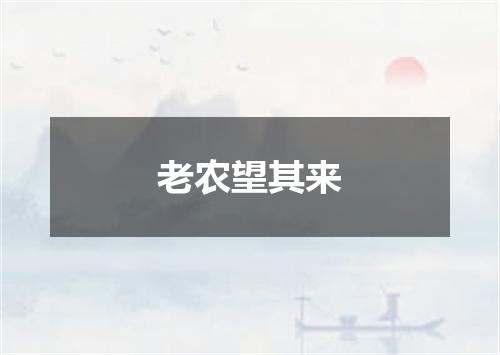 老农望其来