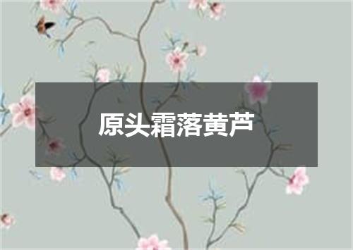 原头霜落黄芦