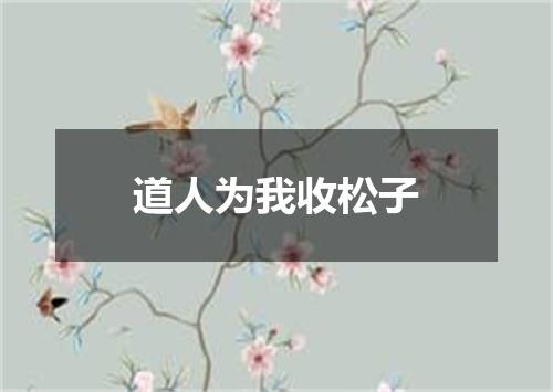 道人为我收松子