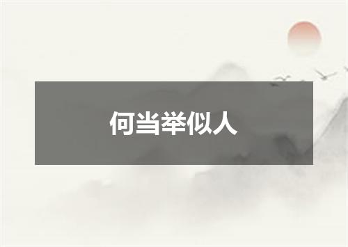 何当举似人