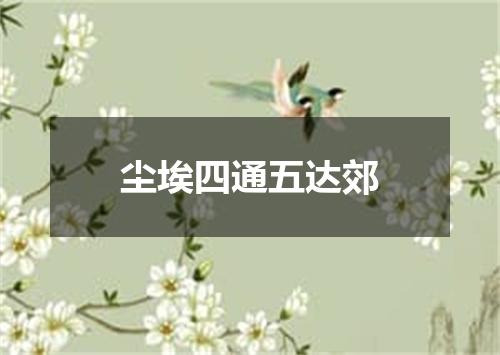 尘埃四通五达郊
