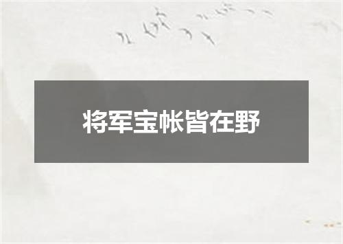 将军宝帐皆在野
