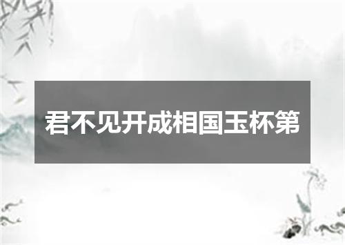 君不见开成相国玉杯第