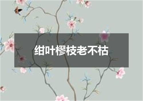 绀叶樛枝老不枯
