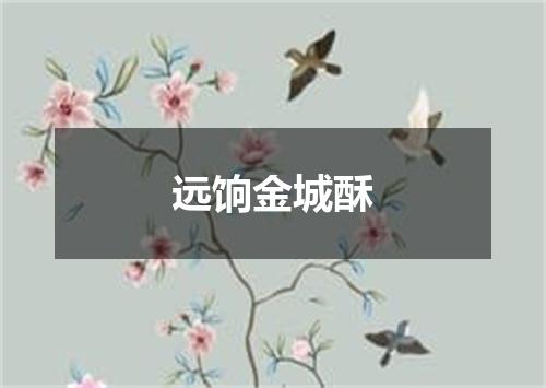 远饷金城酥