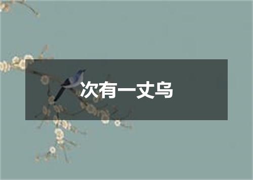 次有一丈乌