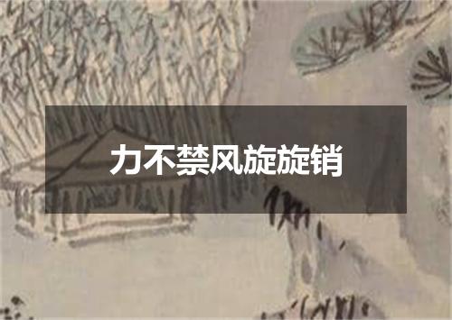 力不禁风旋旋销