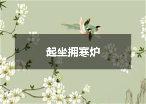 起坐拥寒炉
